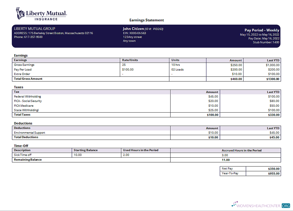 Download USA insurance company earning statement template in Word and PDF format, version 2 Photoshop template